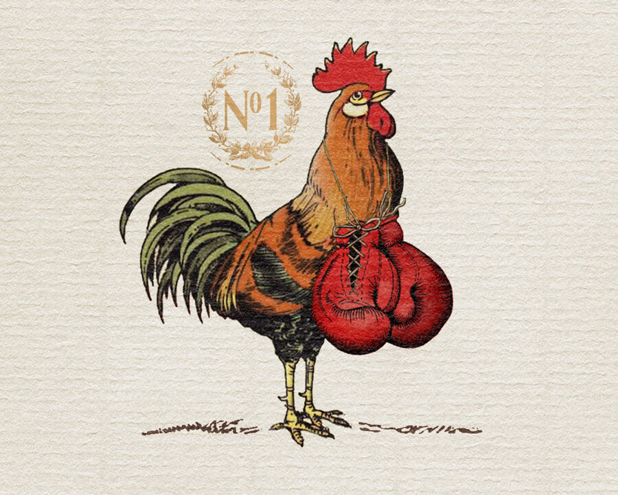 Ilustración para etiqueta de vino